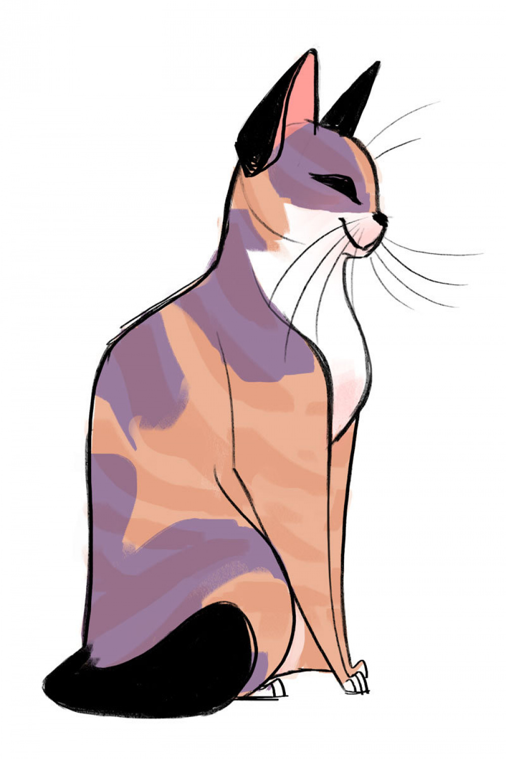 Daily Cat Drawings — : Pattern Quick sketch of a pretty fur