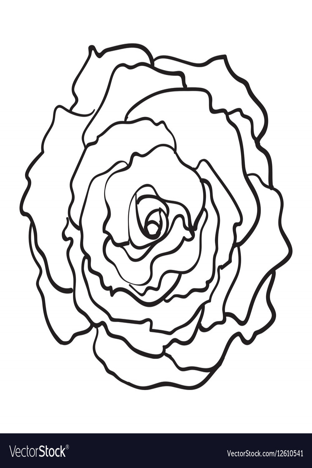 Deep contour rose top view isolated sketch Vector Image