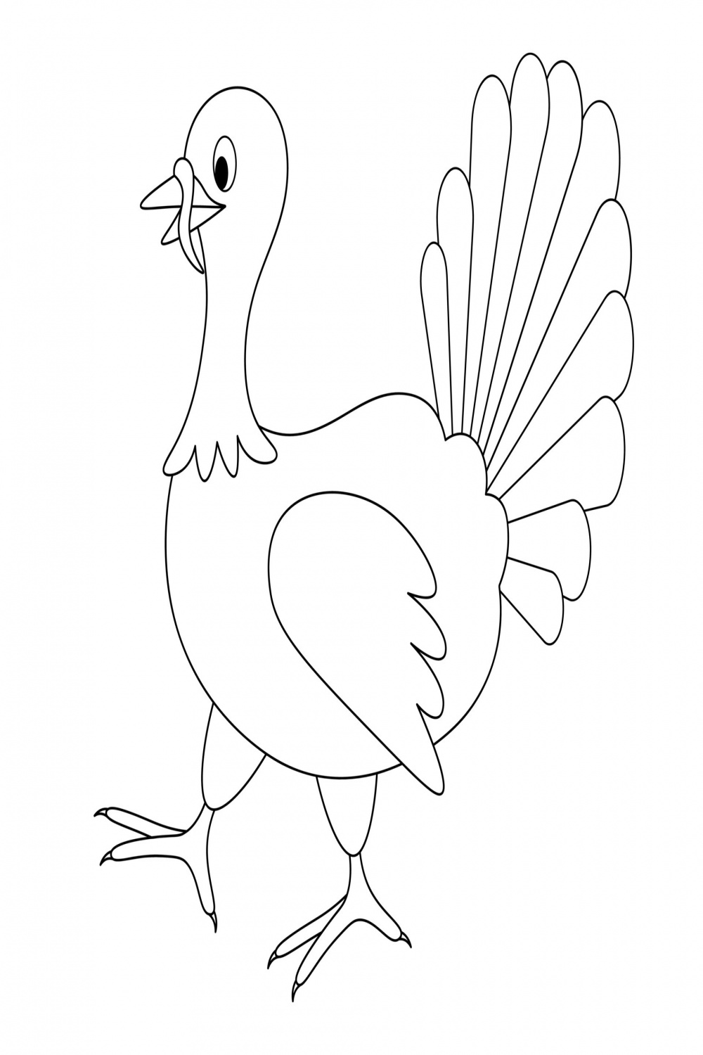 Domestic turkey. The bird is walking. Side view