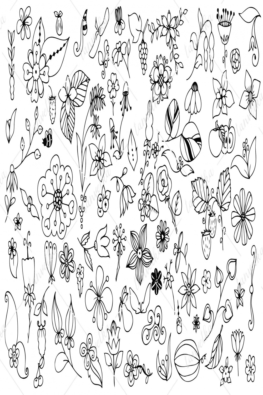 Doodle art. Nature elements set
