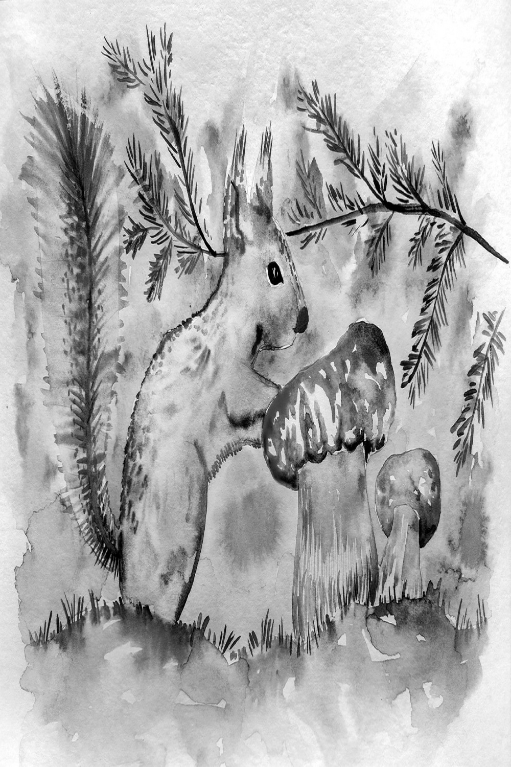 Download Squirrel Mushroom Drawing Royalty-Free Stock Illustration