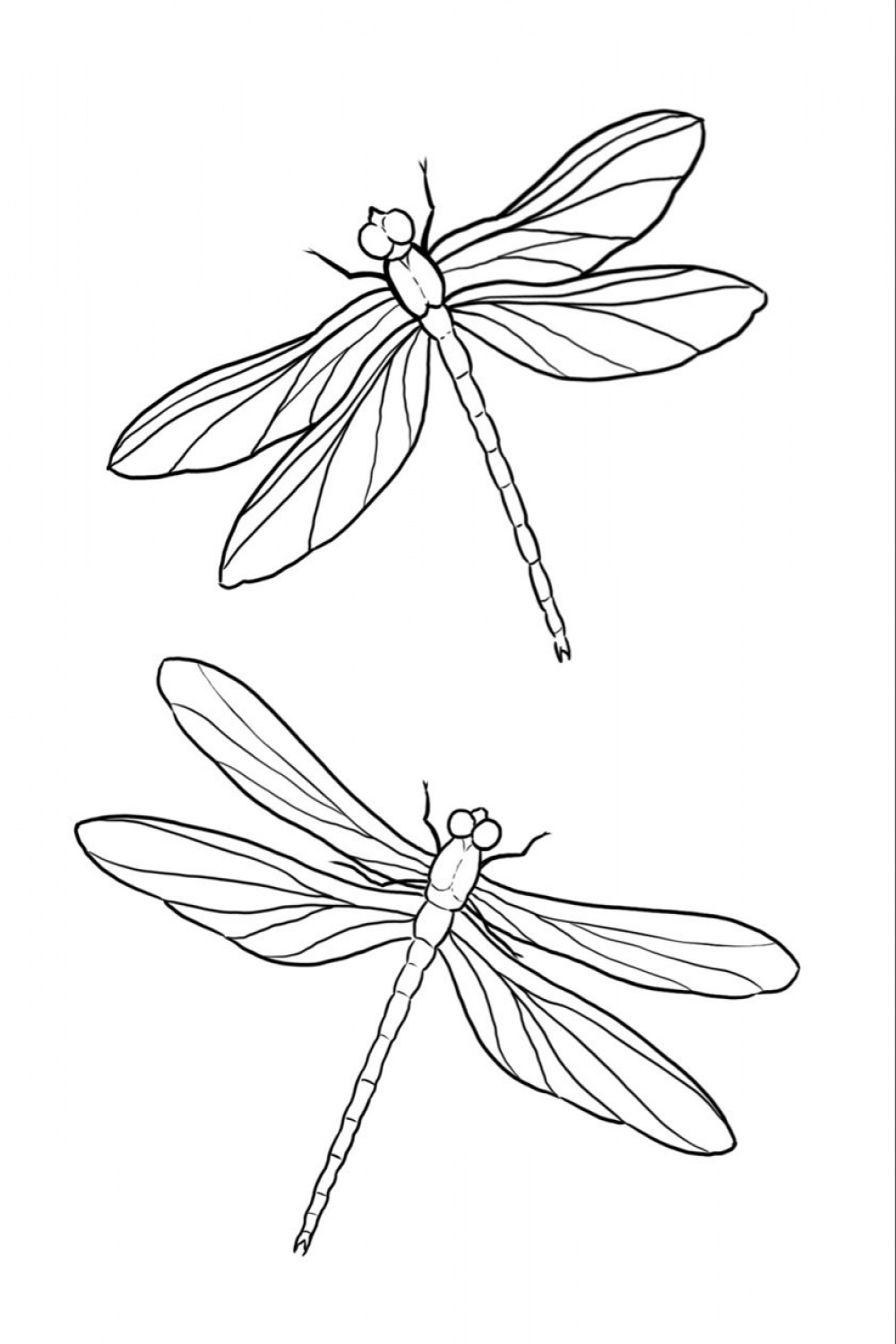 Dragonfly tattoo stencil  Line art drawings, Dragonfly drawing