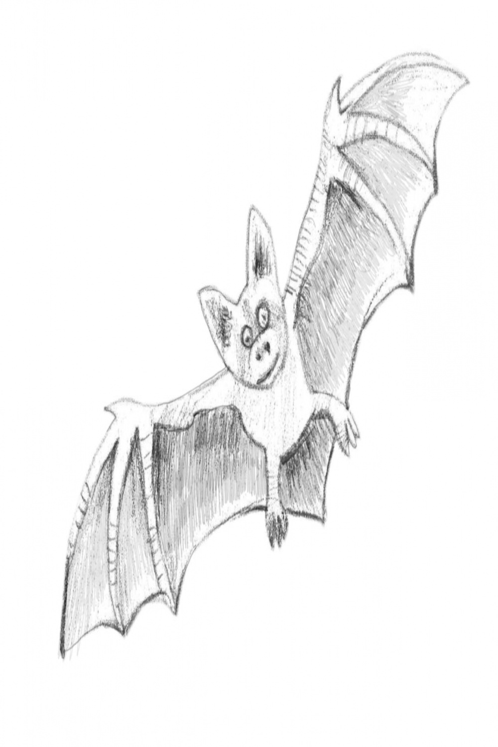 Draw a bat, Bat animal, Drawings