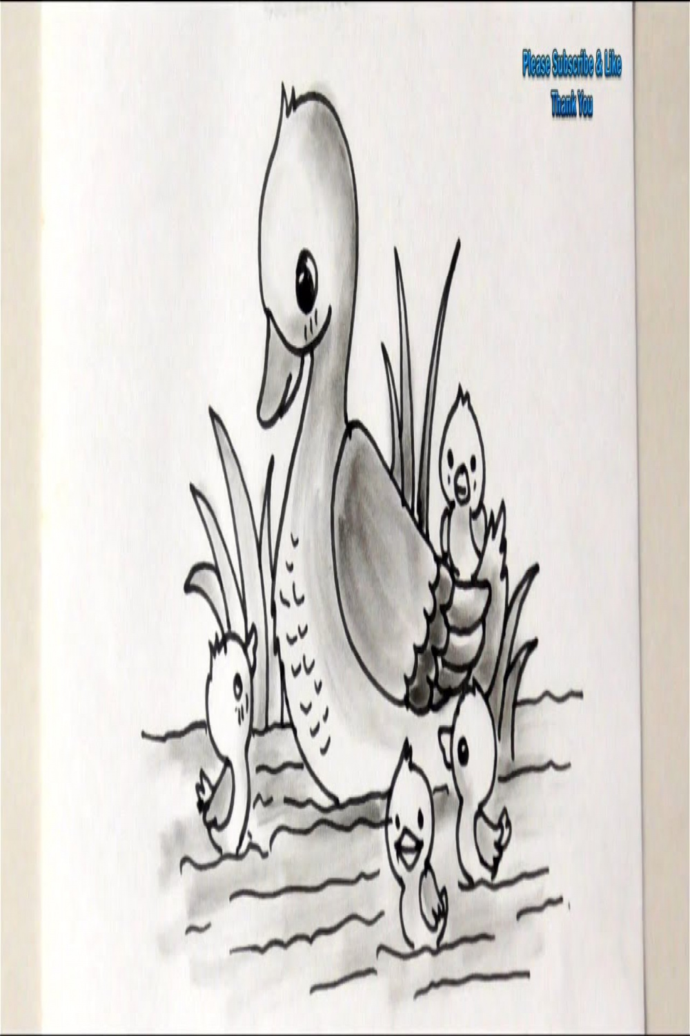 Draw a Duck and Ducklings How to Draw Ducks