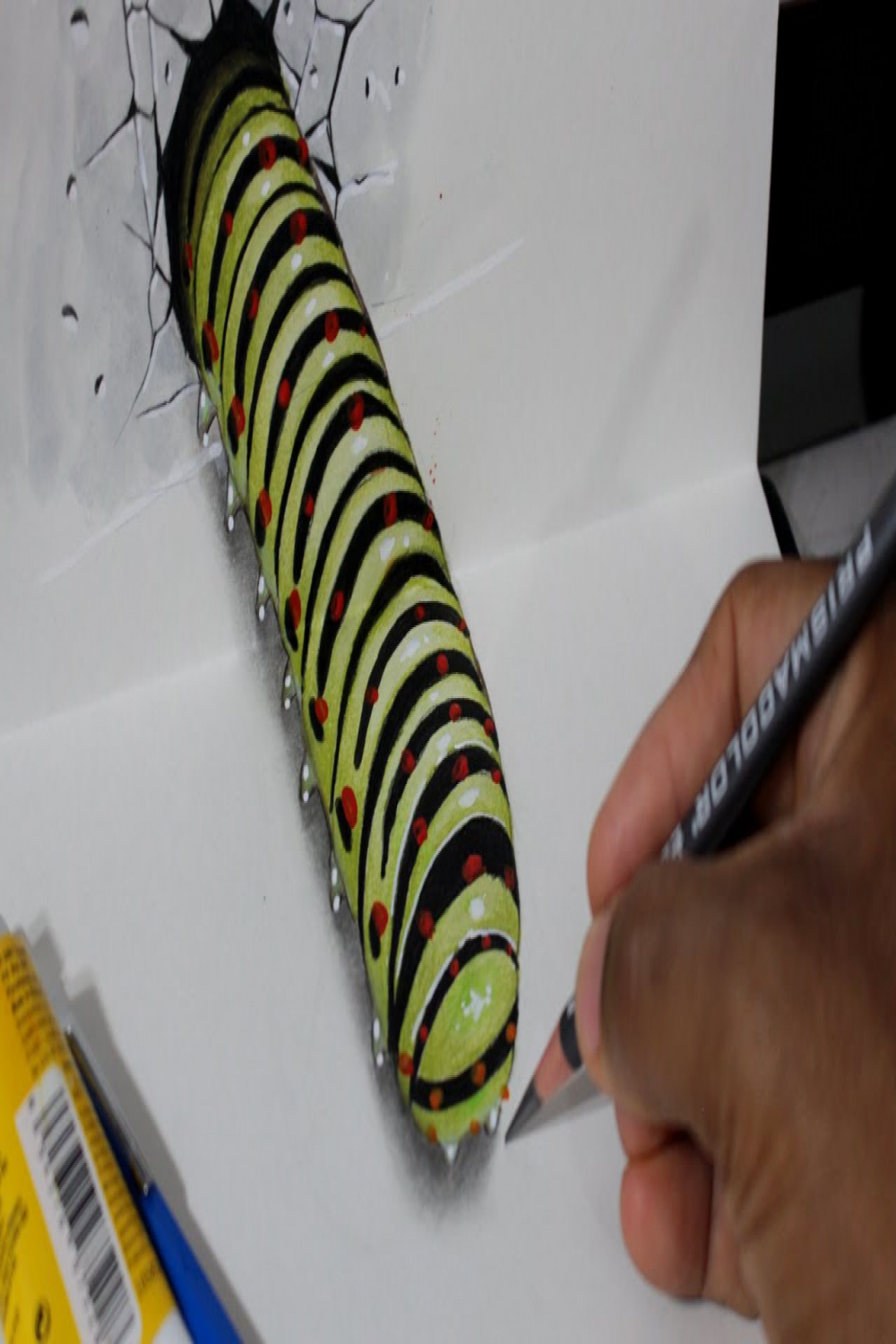 Drawing a D Worm - Optical Illusion