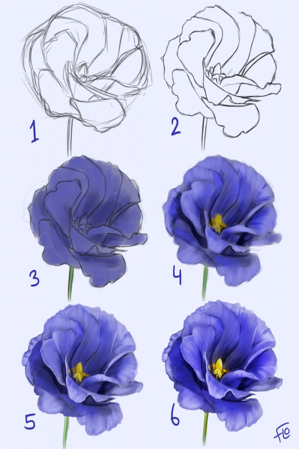 Drawing a Flower step by step  Flower drawing tutorials