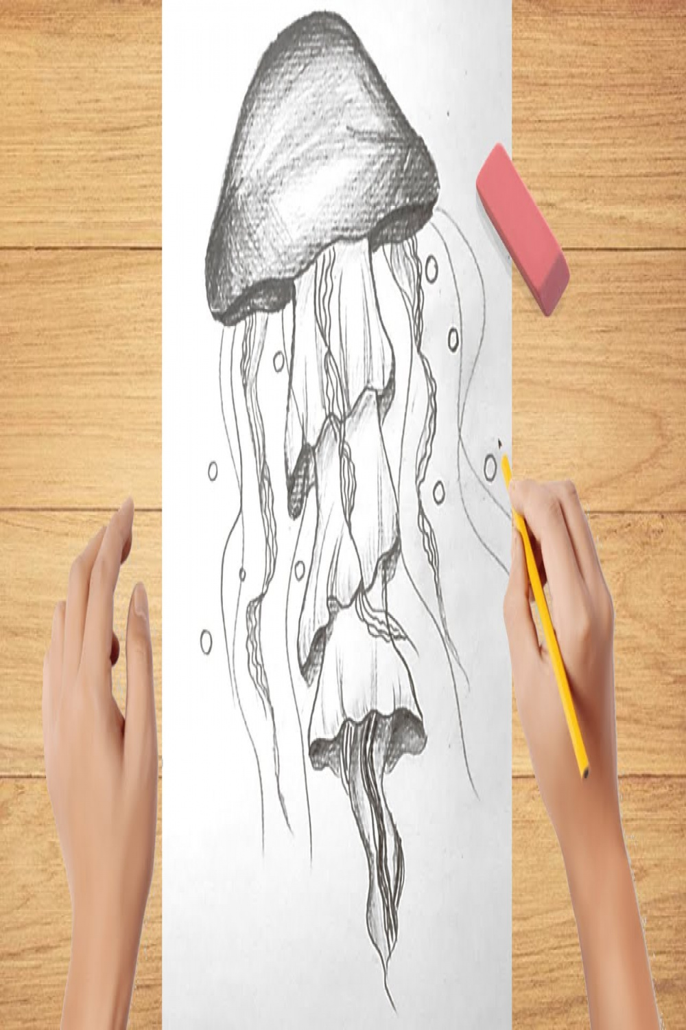 Drawing a Jellyfish for Beginners