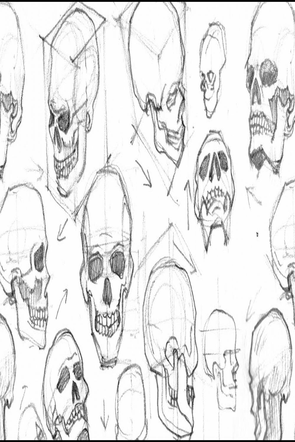 Drawing A Skull (From Different Angles) (Time-lapse)