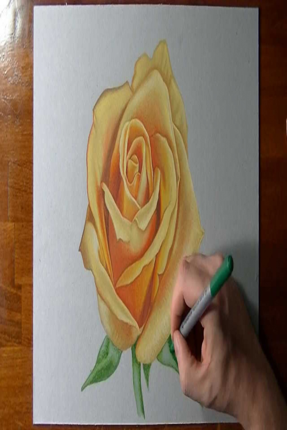 Drawing a yellow rose with ecoline, markers and coloured pencils