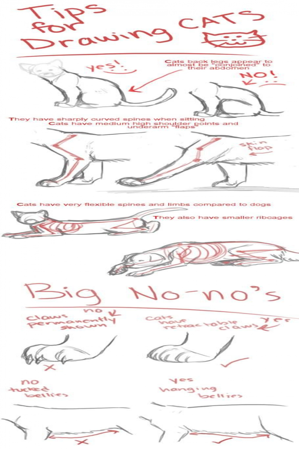 Drawing Cats Tips by Hiedidog on DeviantArt  Tutorial de dibujo