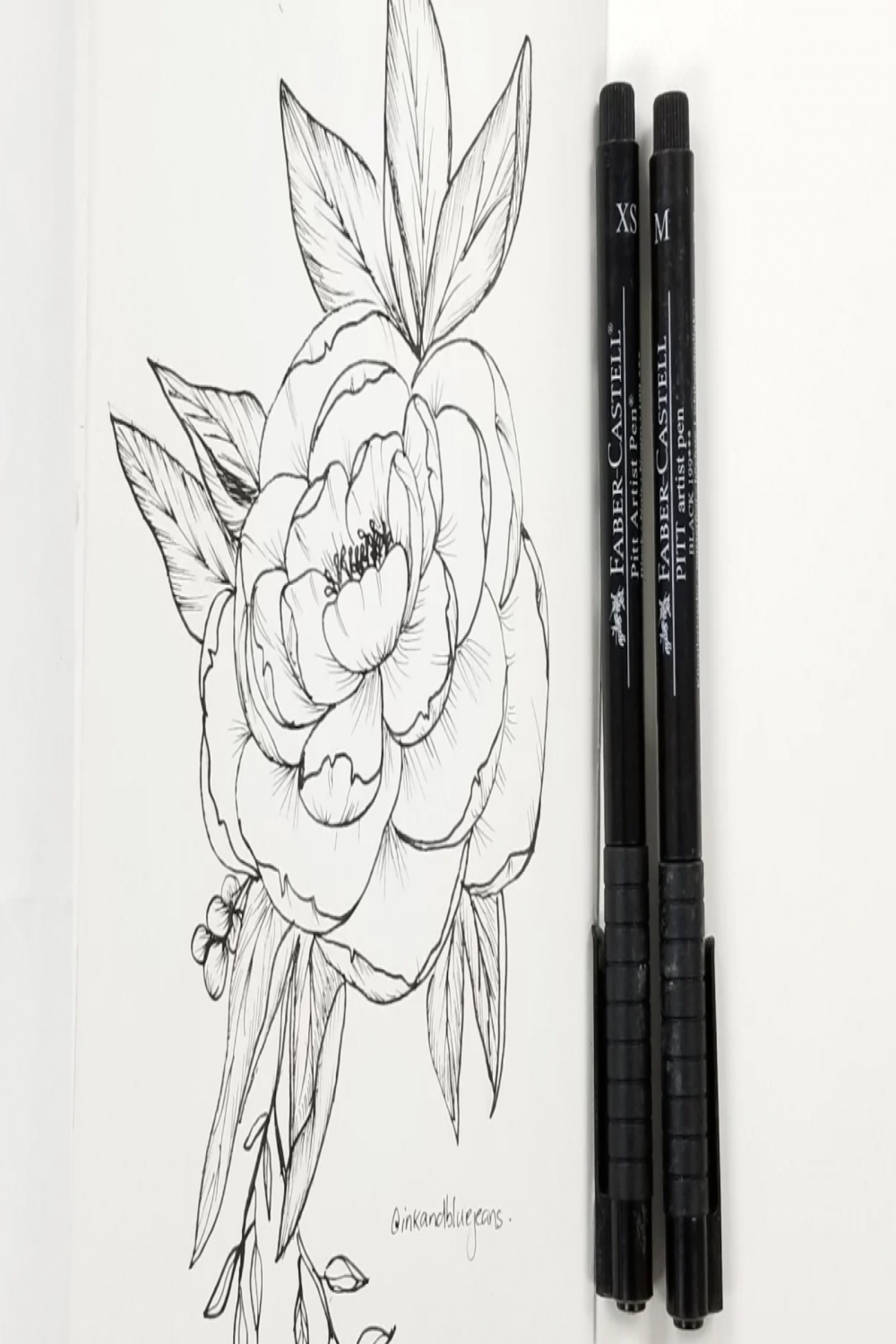 Drawing Ideas for Beginners to Build Basic Skills  Skillshare Blog
