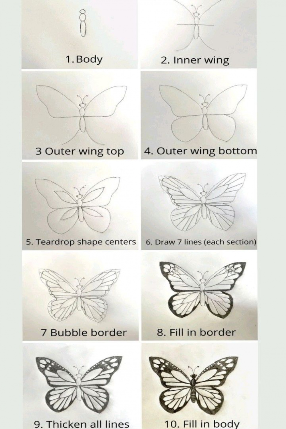 drawing of butterfly 🦋 step by step process