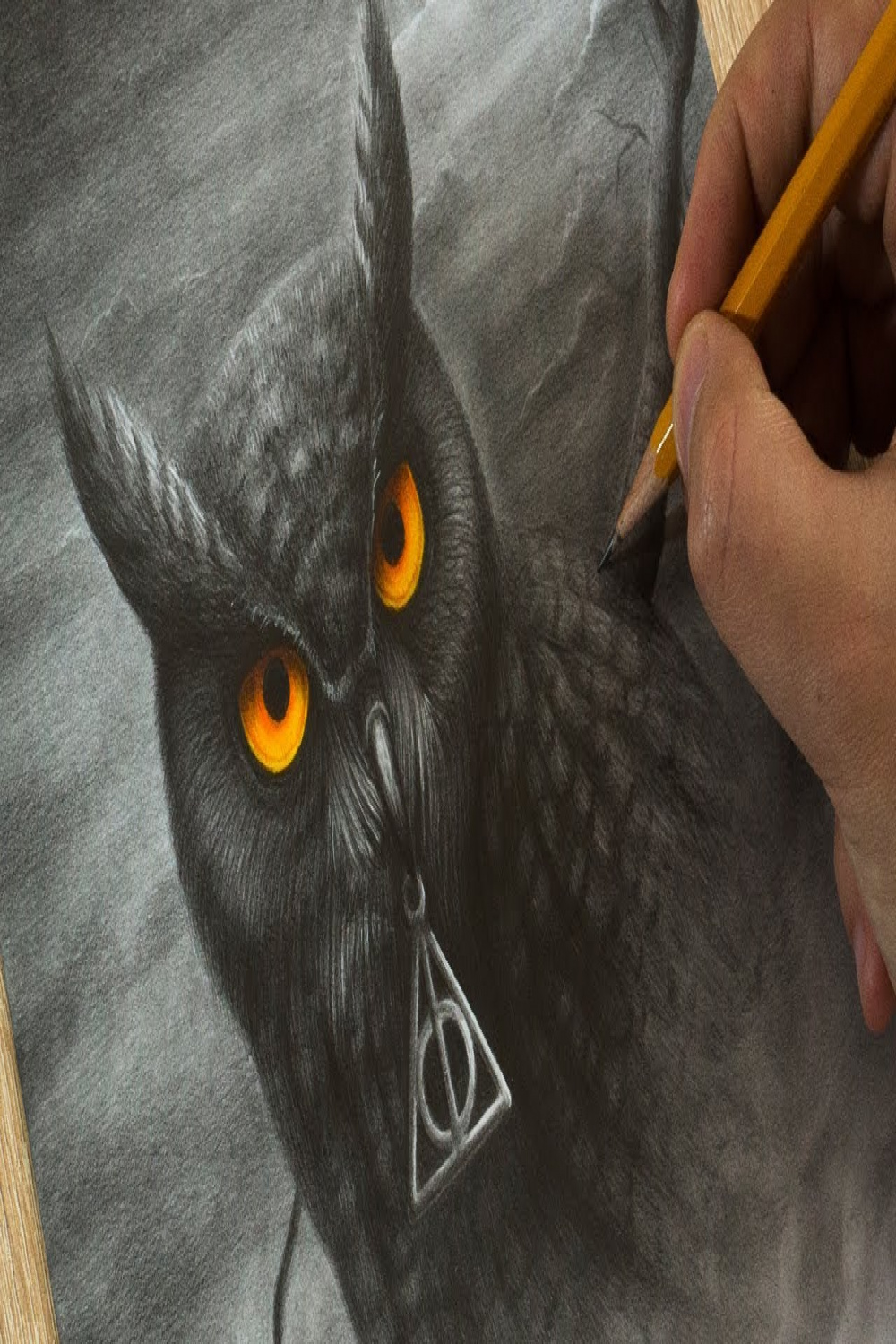 Drawing Owl from Hogwart Harry Potter Art
