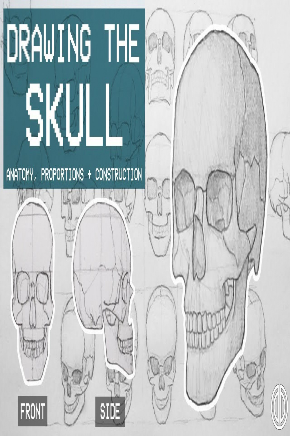 Drawing The SKULL - Anatomy, Proportions & Construction - Anatomy