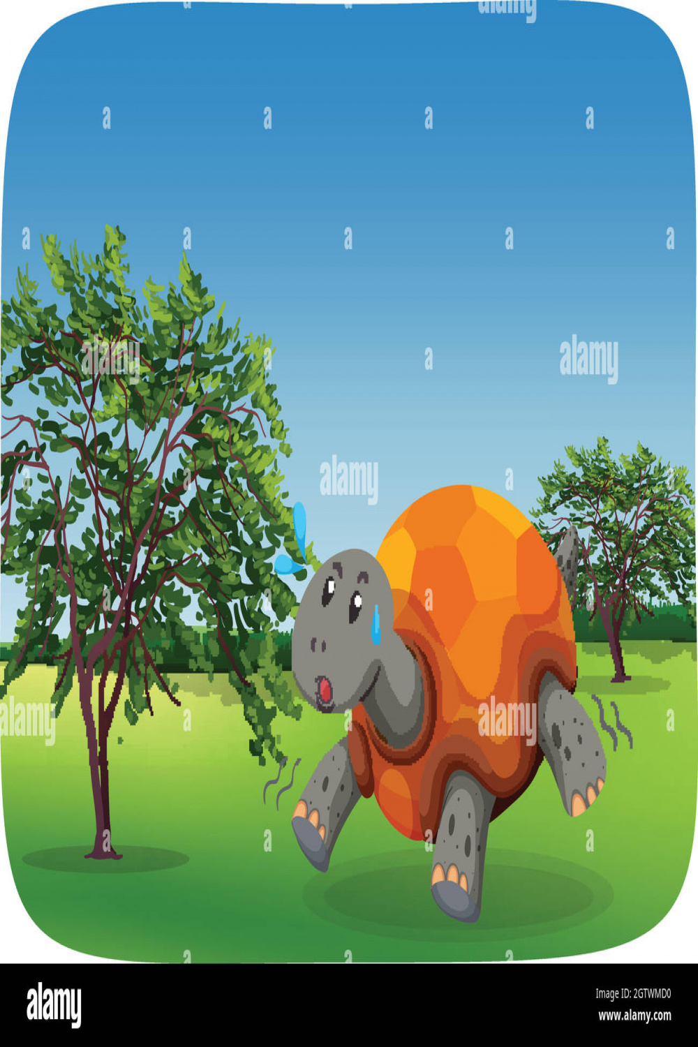 Drawing turtle running hi-res stock photography and images - Alamy