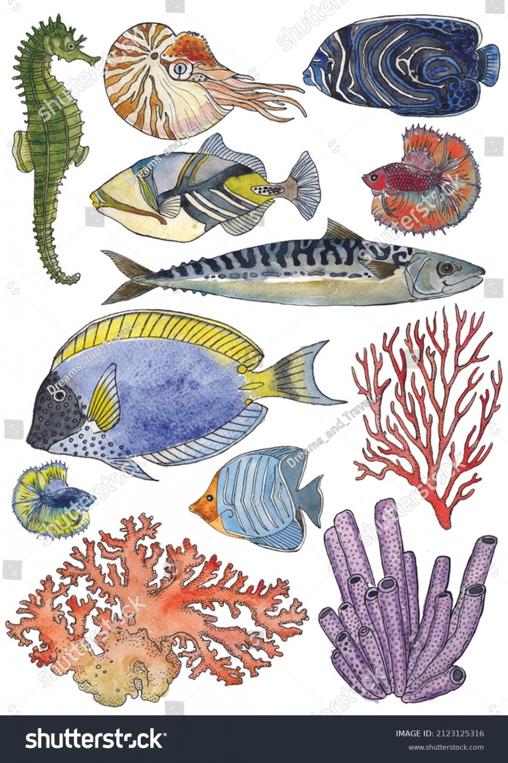 Drawing Underwater World Sea Fish Seahorse Stock Illustration