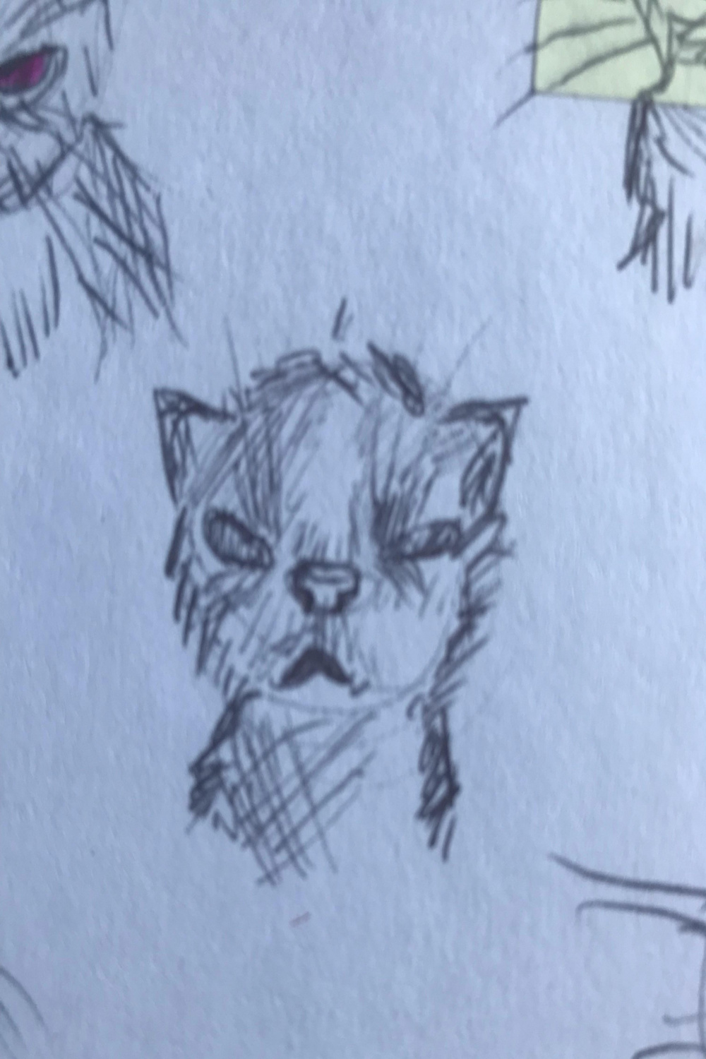 drew a cat on zaza : r/sketches