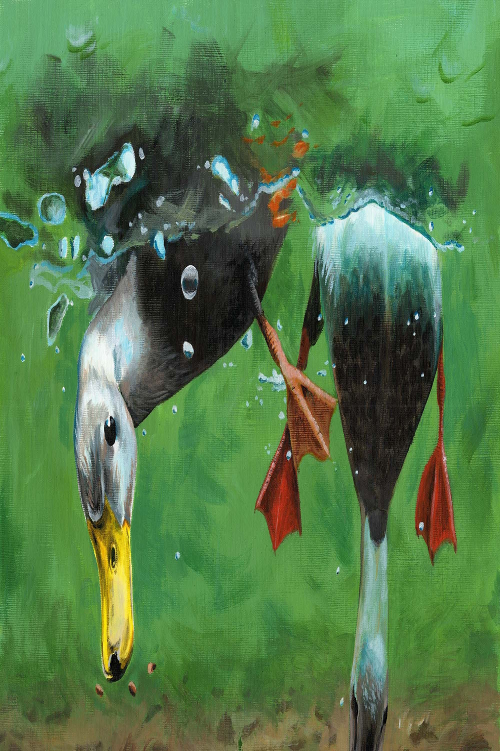 Ducks Mallard ducks ducks diving diving underwater - Etsy