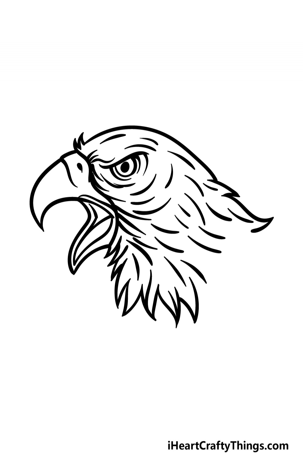 Eagle Head Drawing - How To Draw An Eagle Head Step By Step