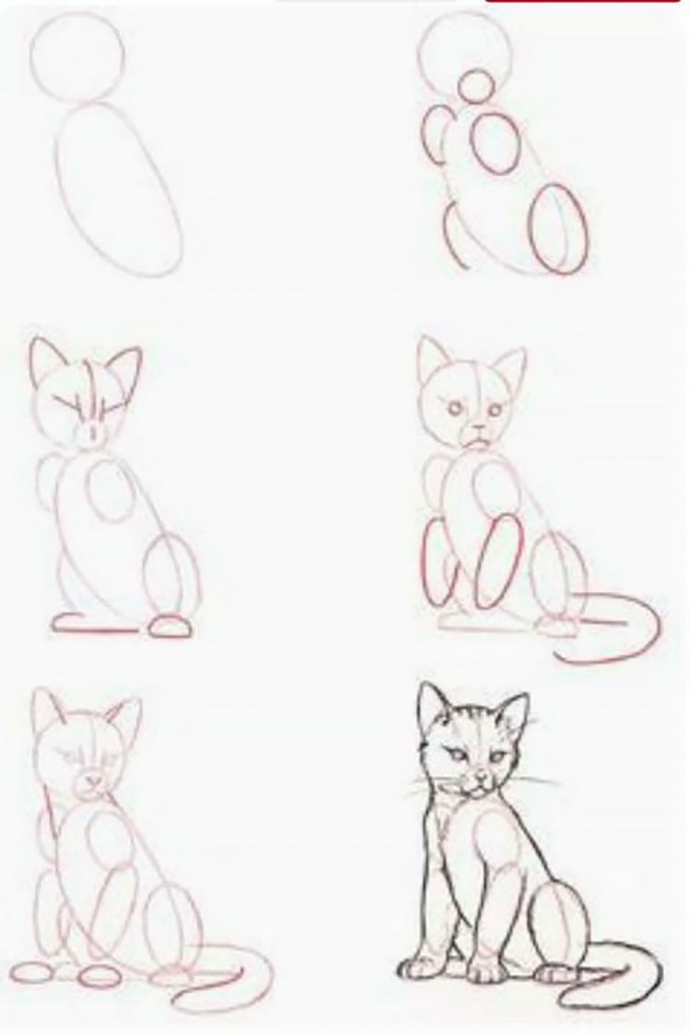 Easy Cat Drawing Ideas and Tutorials for Everyone - Beautiful