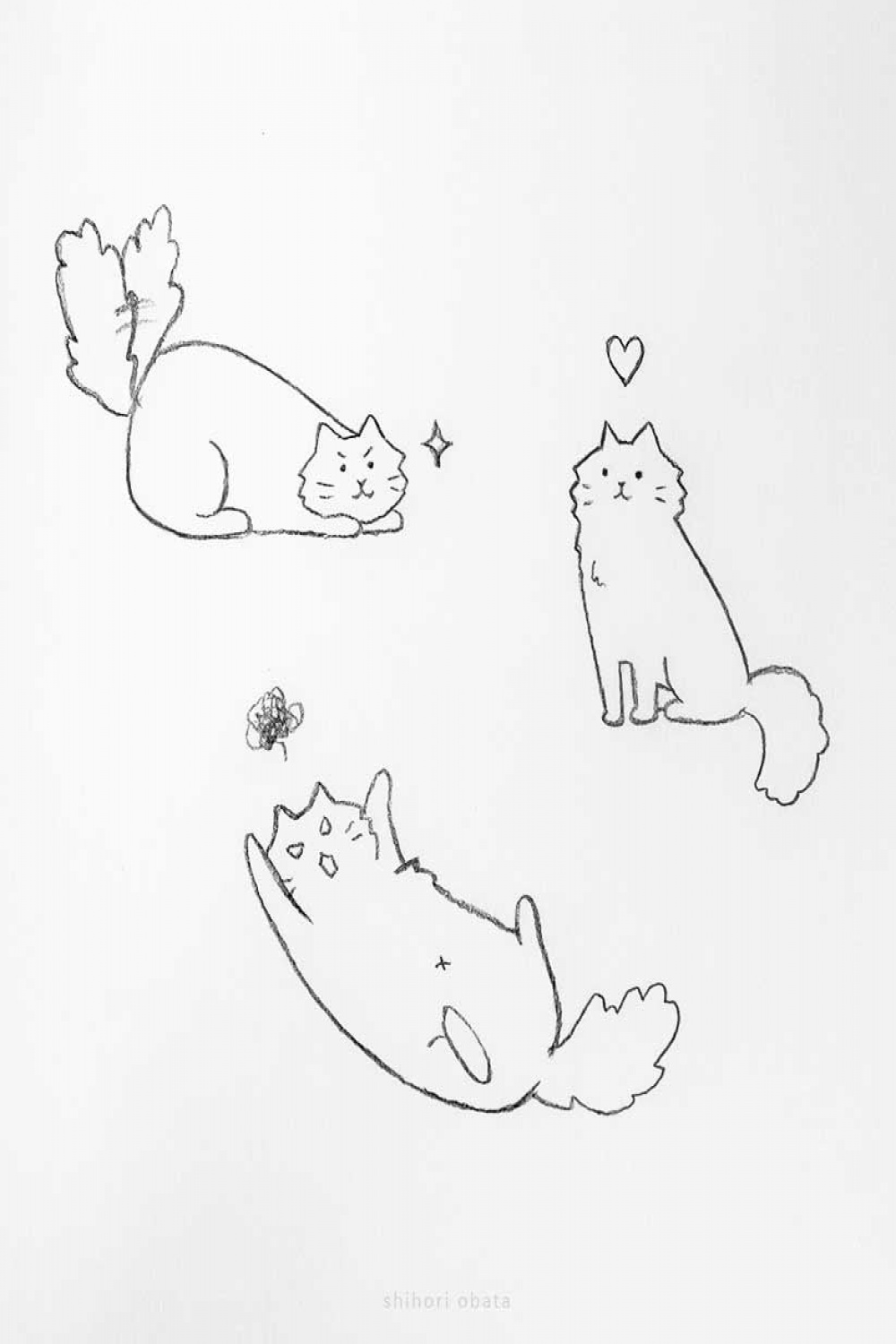 Easy Cat Drawing Ideas