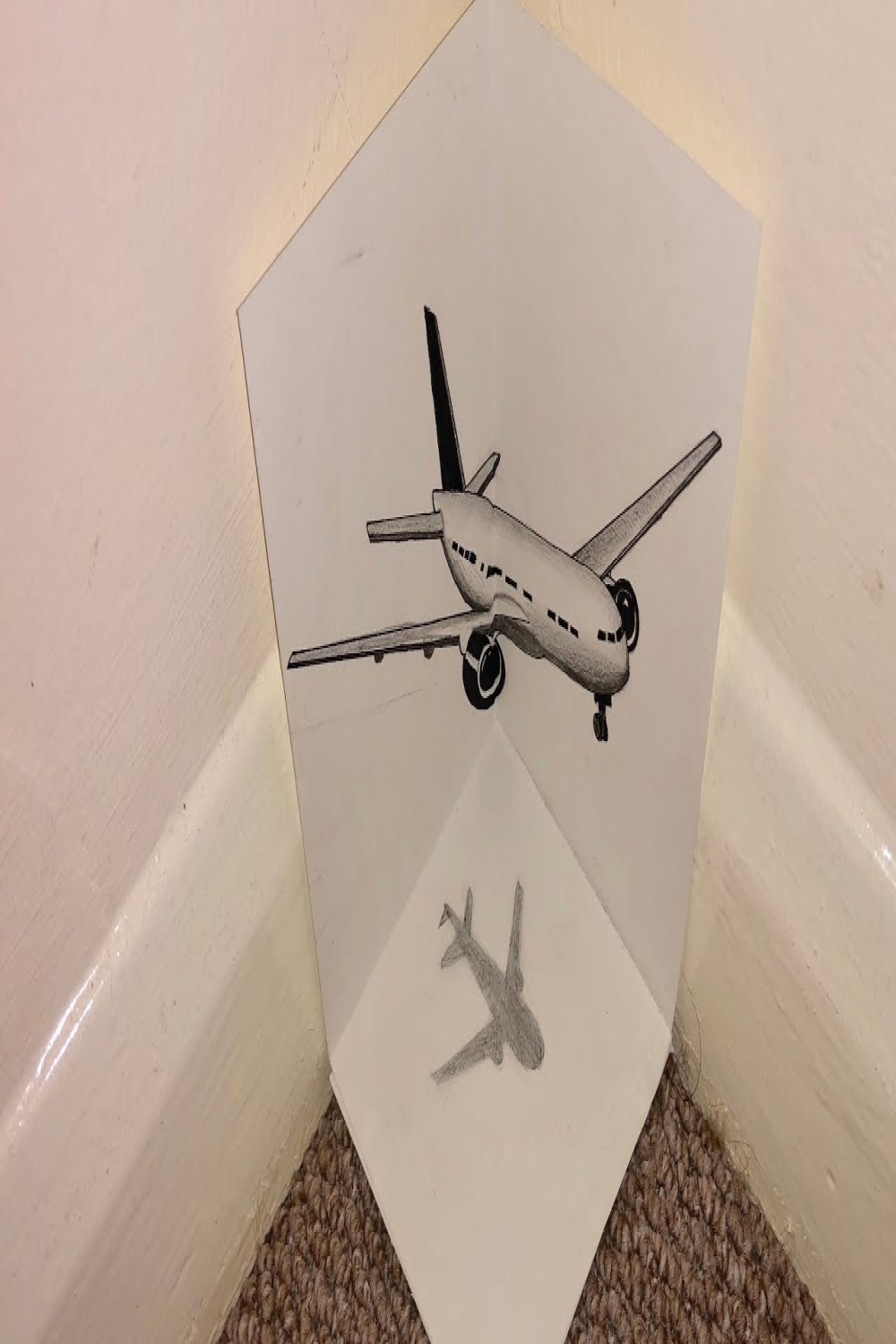 Easy D illusion plane drawing on paper - trick art