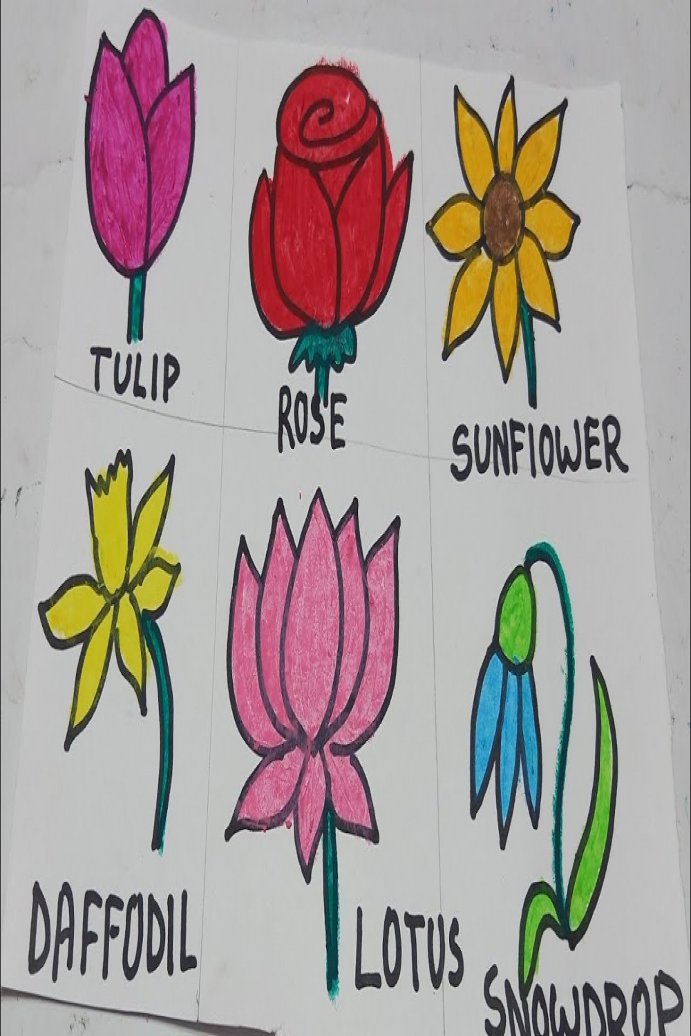 Easy Flowers Drawing, Learn Flowers Names & Drawing, Different Types of  Flowers Drawing and Coloring