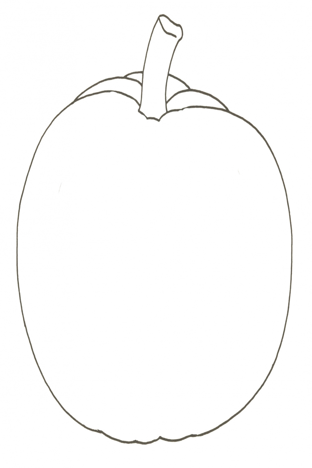 Easy Pumpkin Drawing: ( Steps)! - The Graphics Fairy