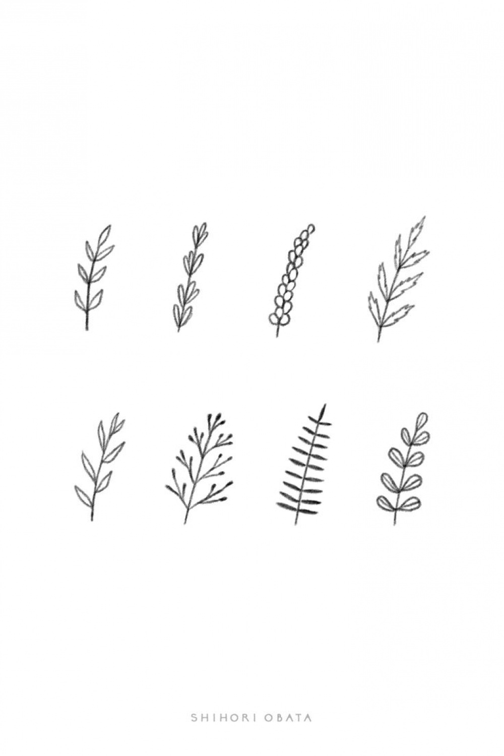 Easy Ways to Draw Plants & Leaves  Plant drawing, Plant