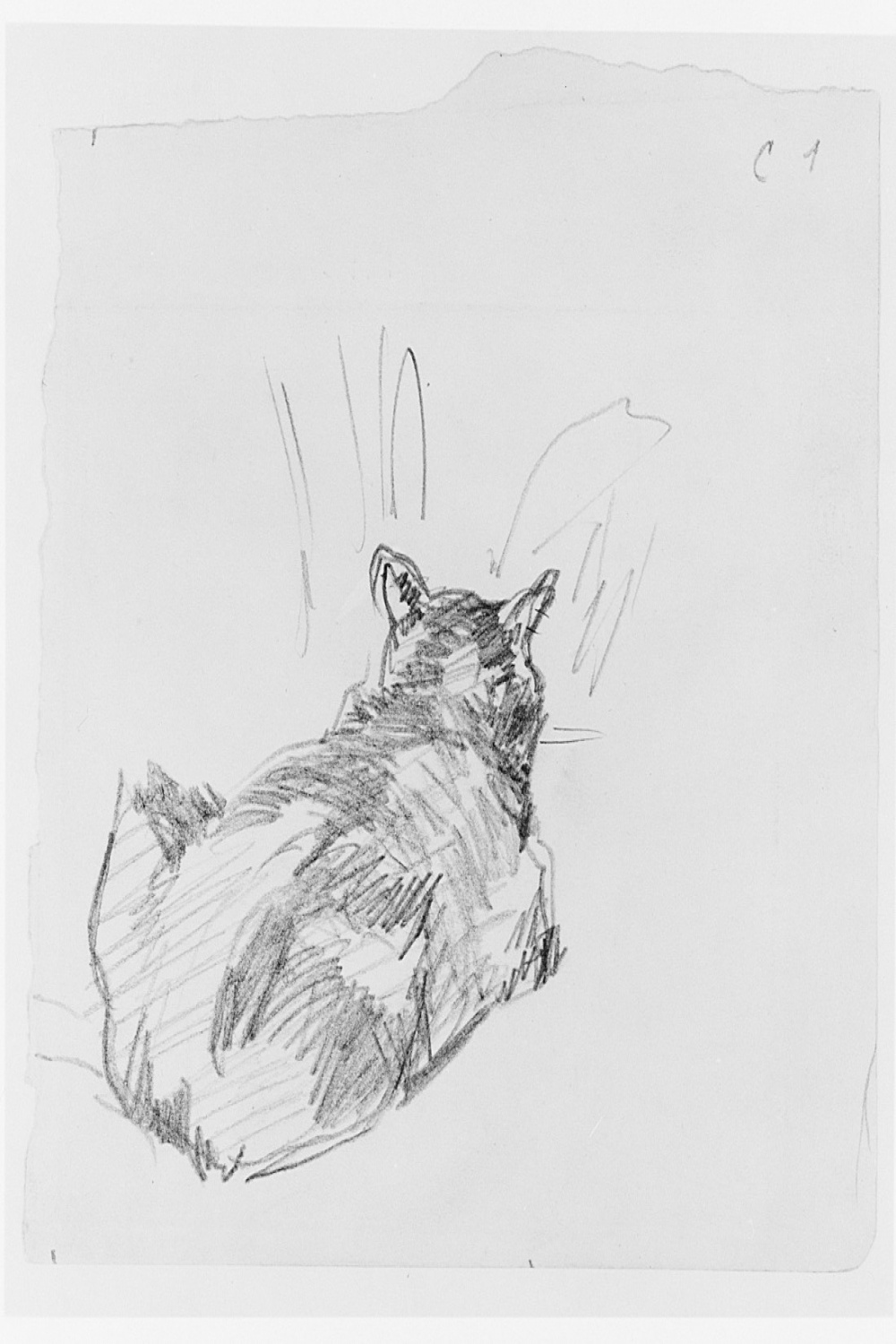 Edouard Manet  A Cat Resting on All Fours, Seen from Behind  The