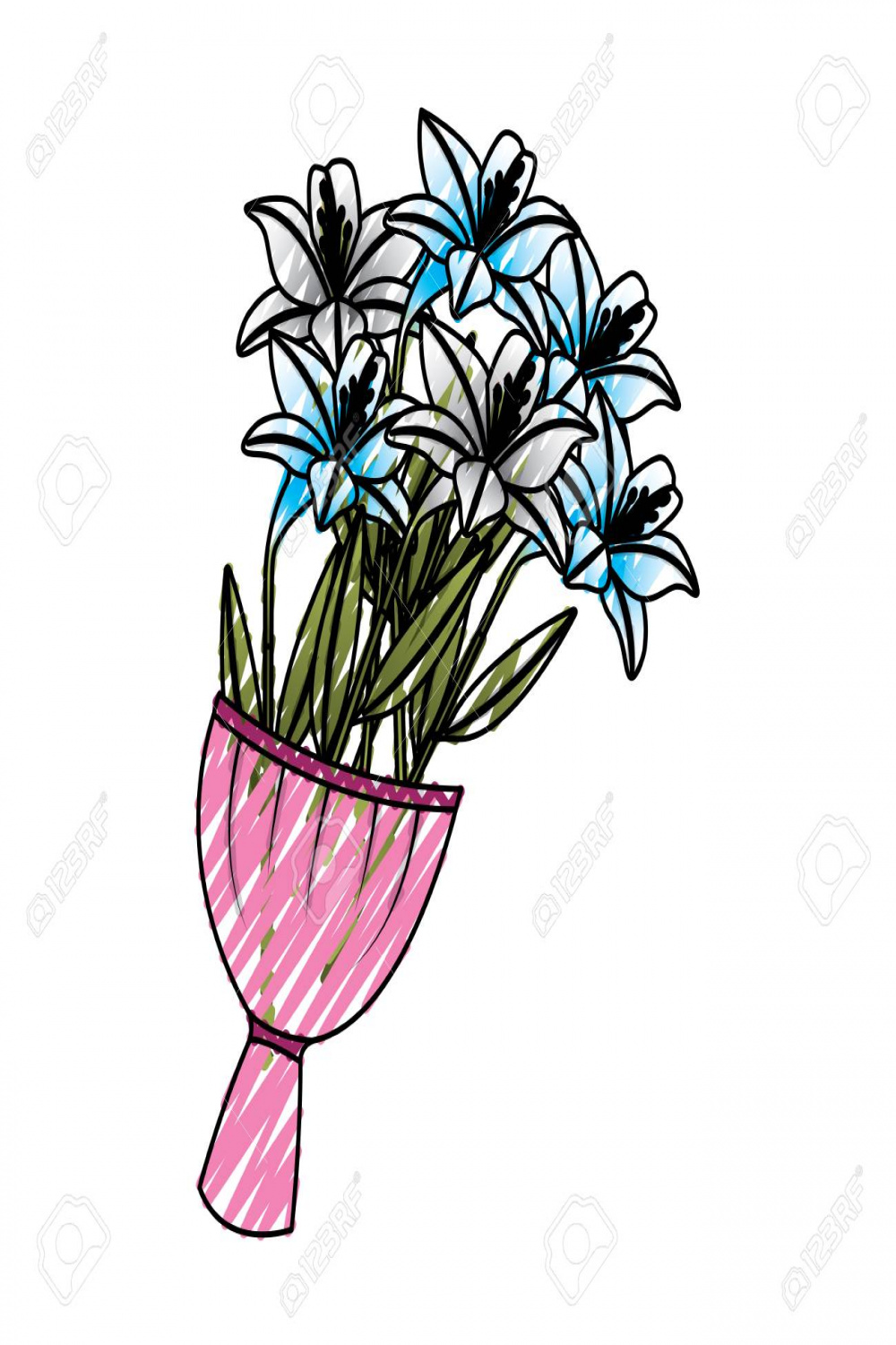 Elegance Delicate Bouquet Lilies Flowers Wrapped Vector
