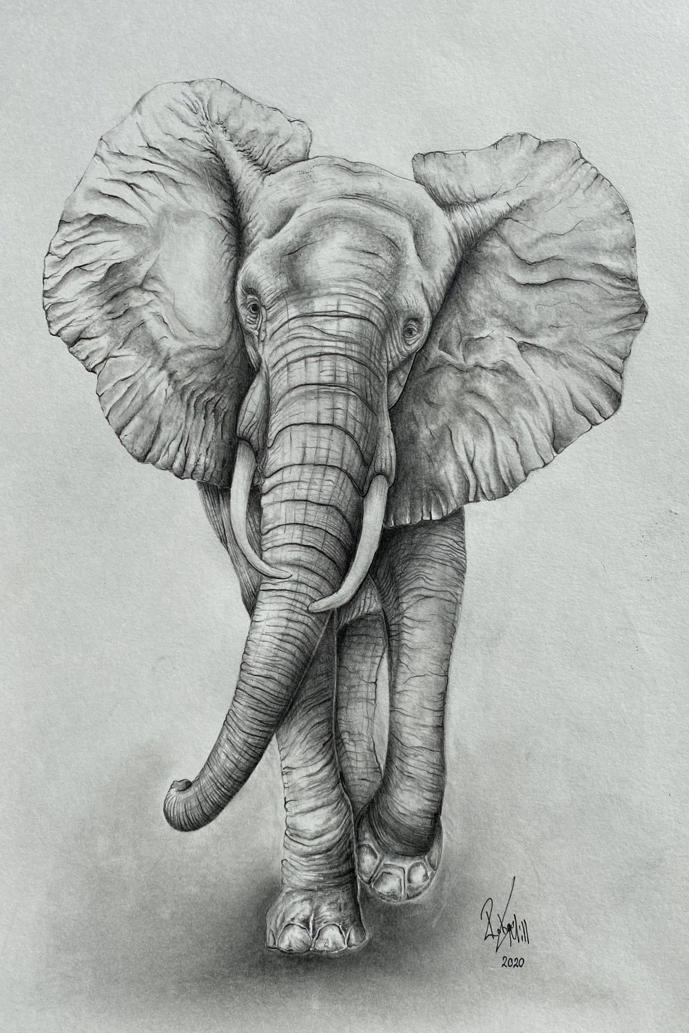 Elephant Pencil Drawing Elephant Wall Art Elephant Home - Etsy UK