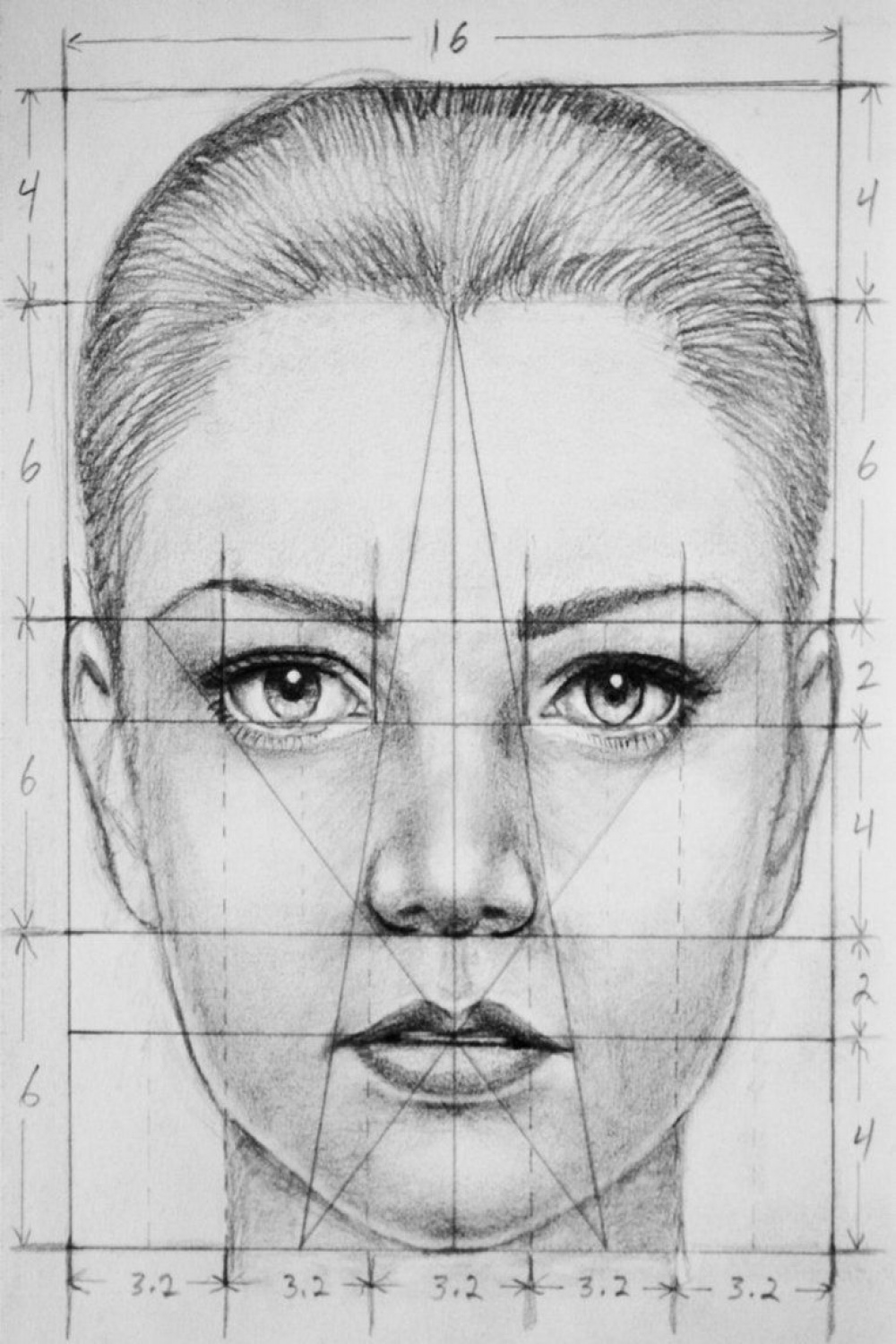 Face Proportions by PMucks on DeviantArt  Face drawing, Portrait