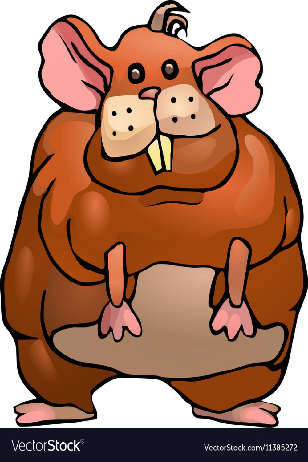 Fat hamster Royalty Free Vector Image - VectorStock