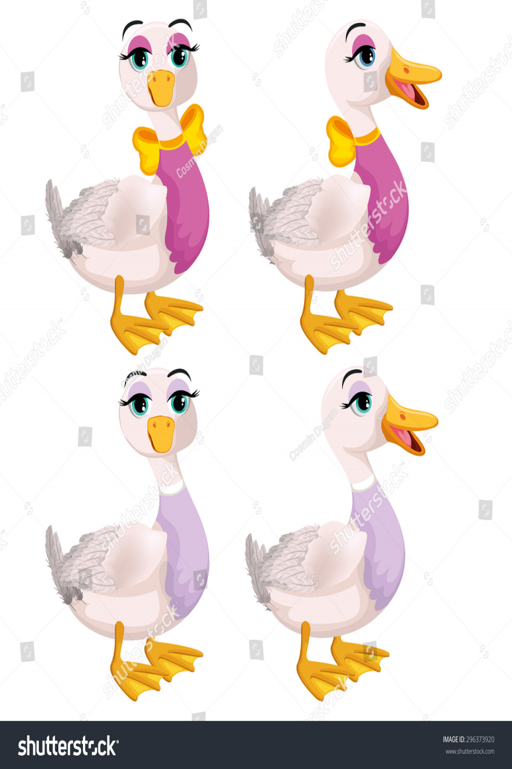 Female Ducks Stock Vector (Royalty Free)   Shutterstock