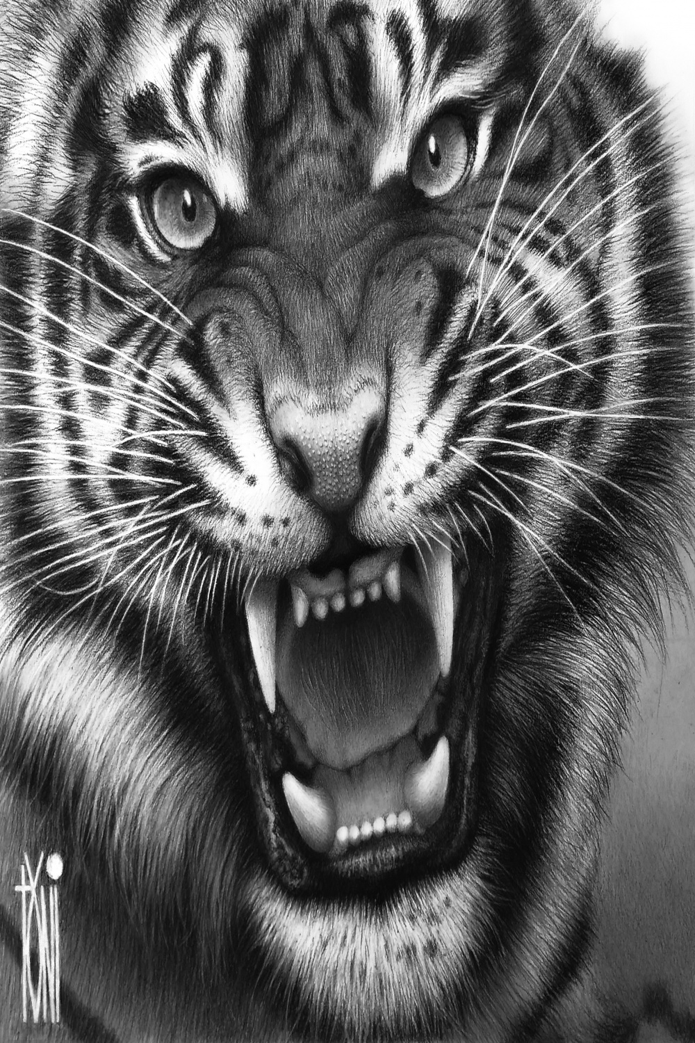 Fierce Tiger - Hyper Realistic Pencil Painting (Physical) by Toni