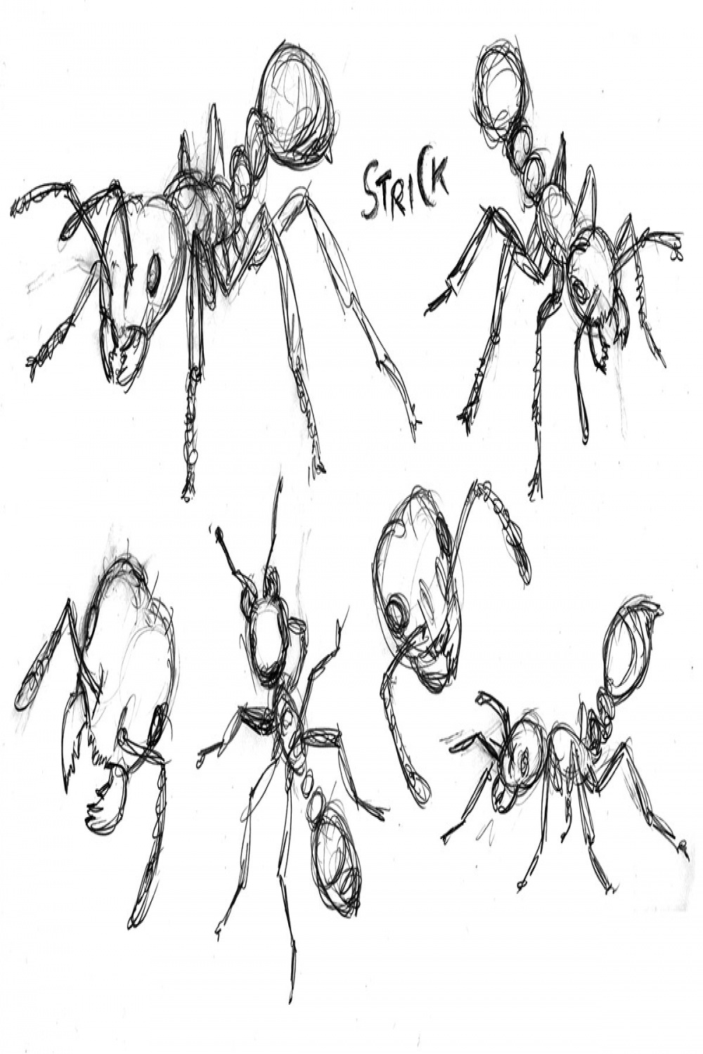 Fire Ant scribbles by Strick on DeviantArt