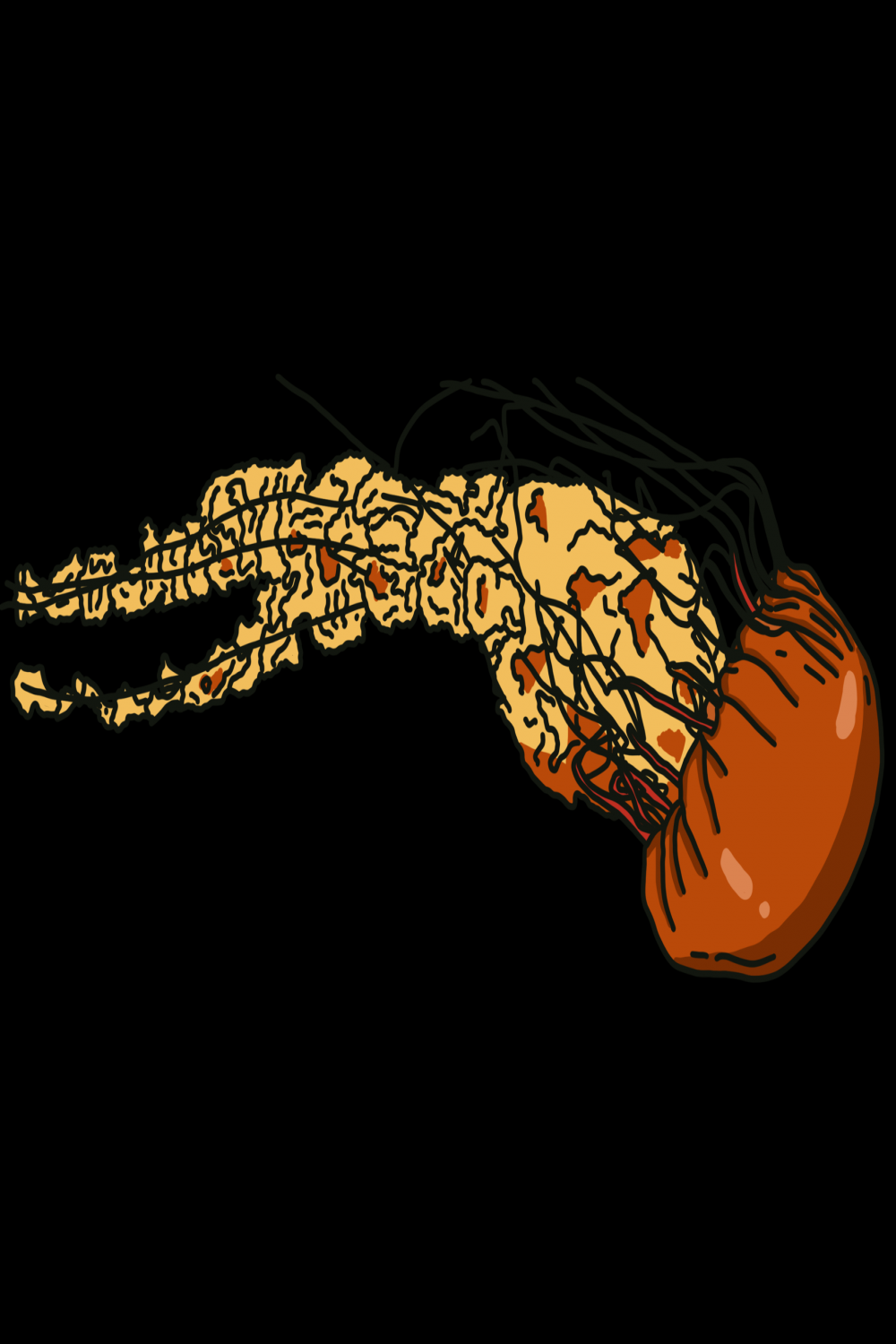 Fire jellyfish illustration  PNG