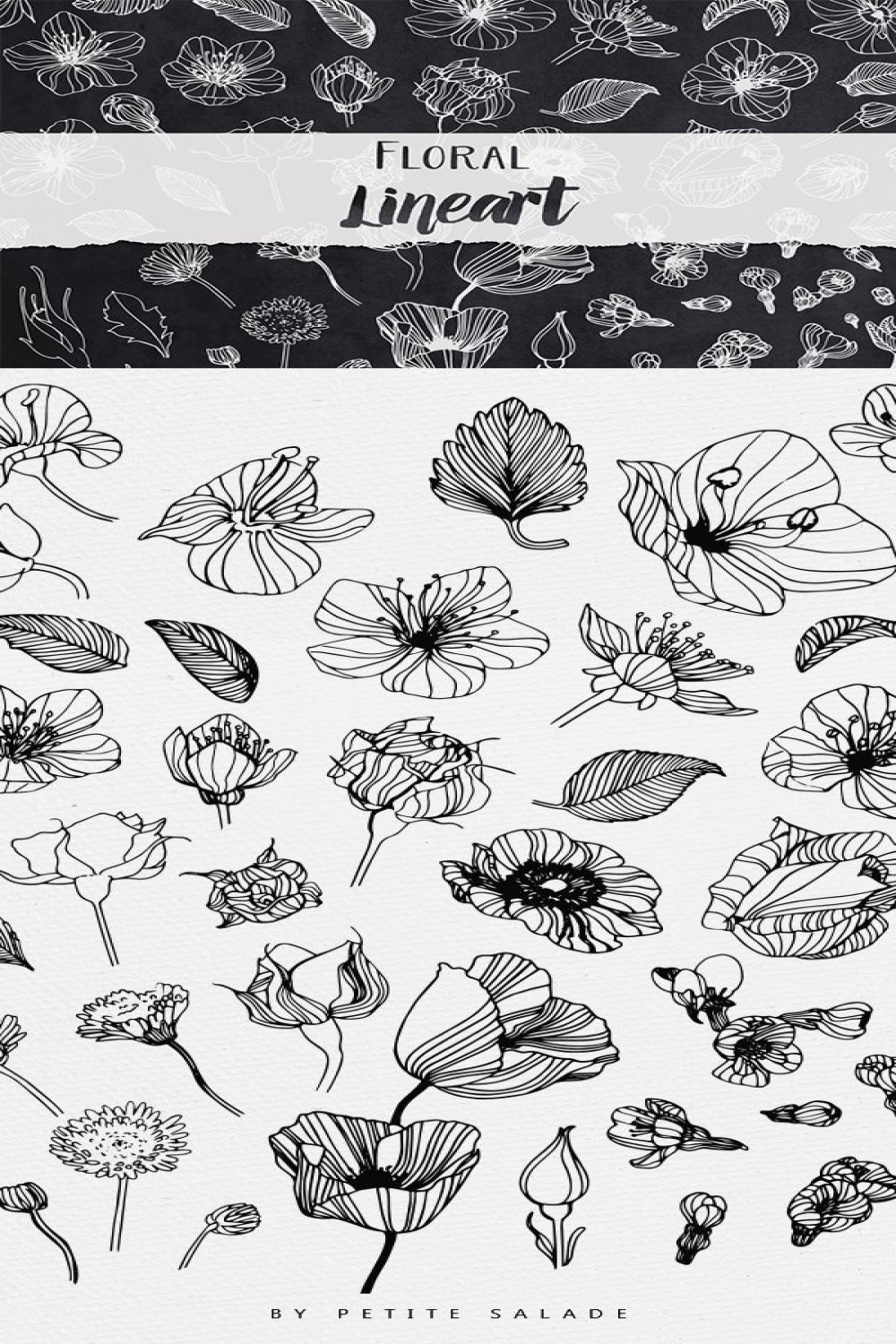 Floral Lineart  Flower drawing, Botanical drawings, Sketch book