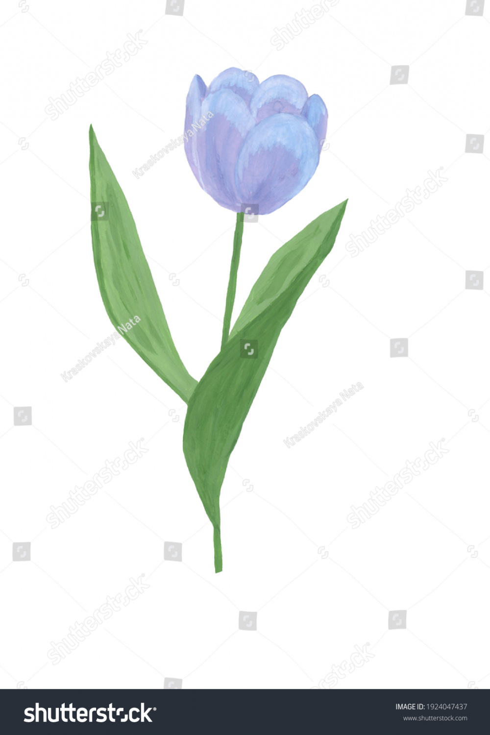 Flower Drawing Drawn Gouache On Paper Stock Illustration