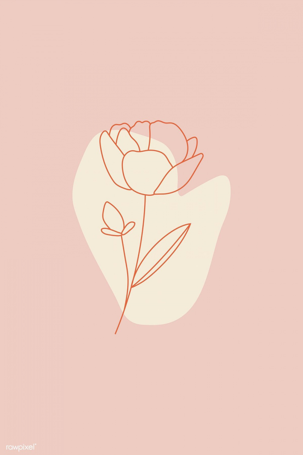 Flower line art on pink background vector  premium image by