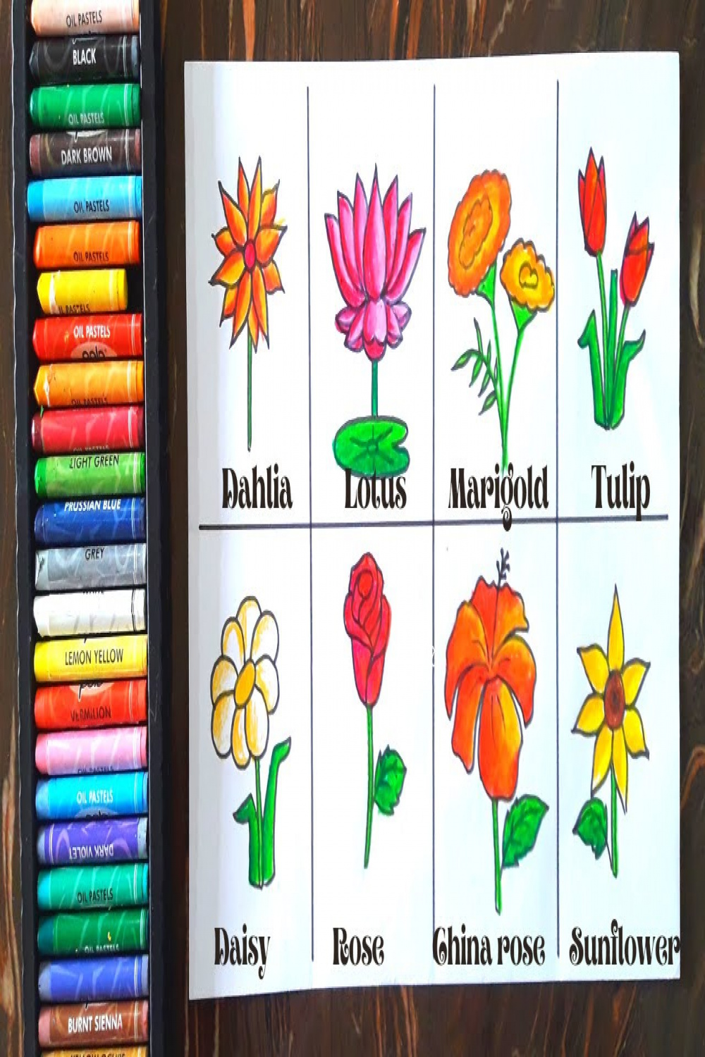 Flowers Drawing with Name//Easy Flowers Drawing//Learn Flowers Names and  Drawing