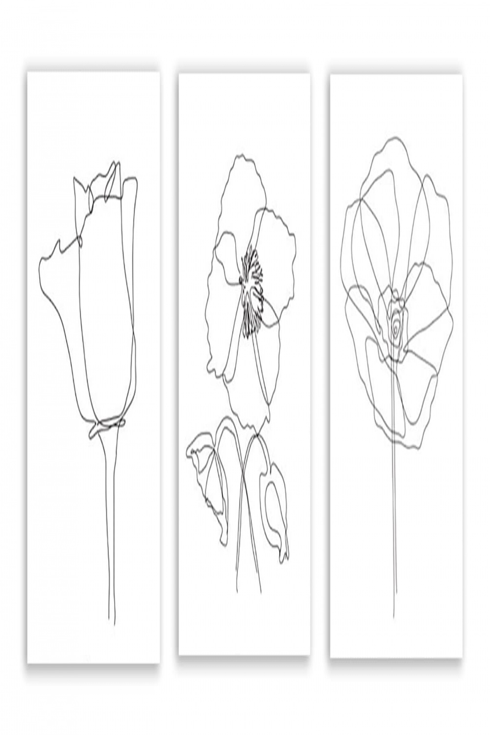 Flowers Sketch Print Botanical Wall Art Plant Line Drawing Canvas