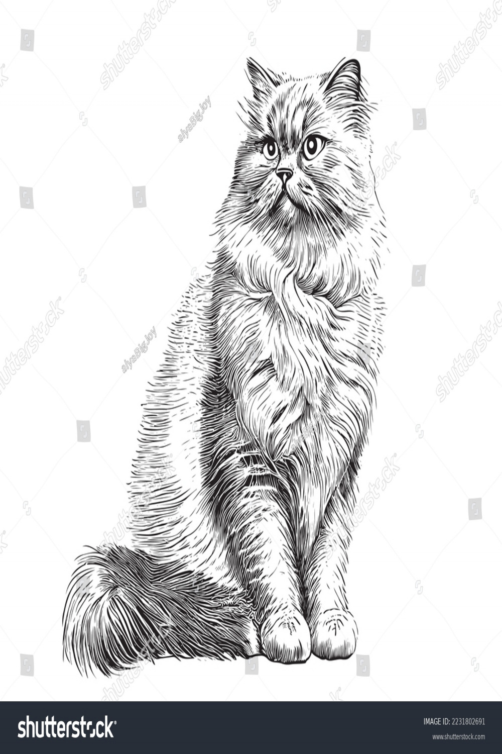 Fluffy Katze sitzend Skizze handgezeichnet, graviert: Stock