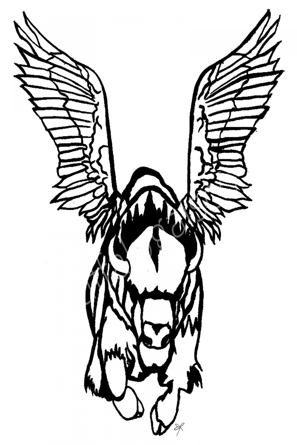 Flying Buffalo Print – Buffalo Gals Co.
