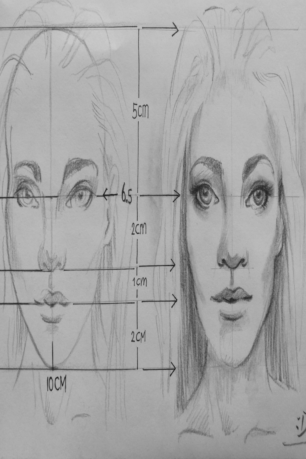 Free download measurements Face drawing by Lineke-Lijn on DeviantArt