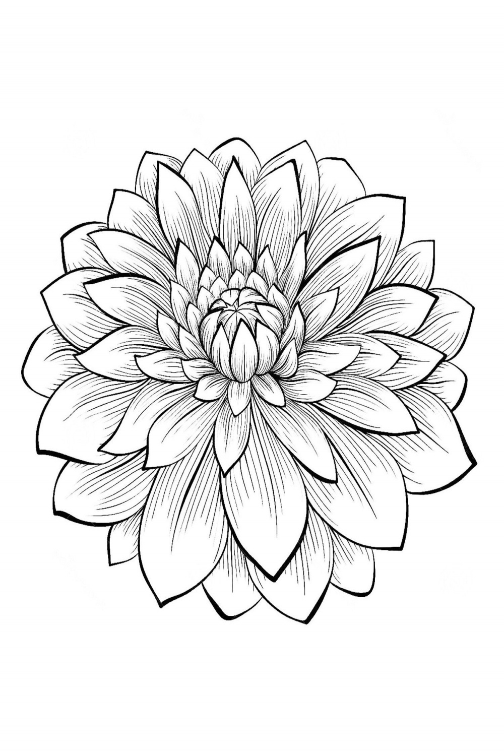 Free Flower Templates  Coloriage fleur, Comment dessiner une