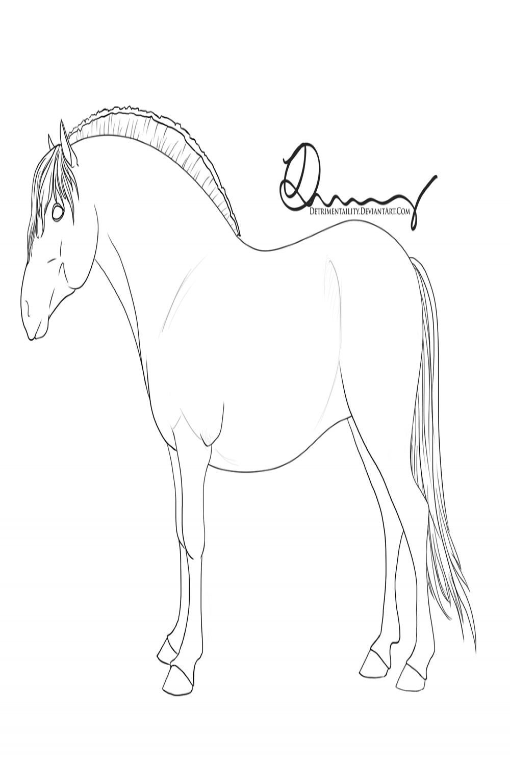 Free Norwegian Fjord Horse Lineart by Detrimentality on DeviantArt