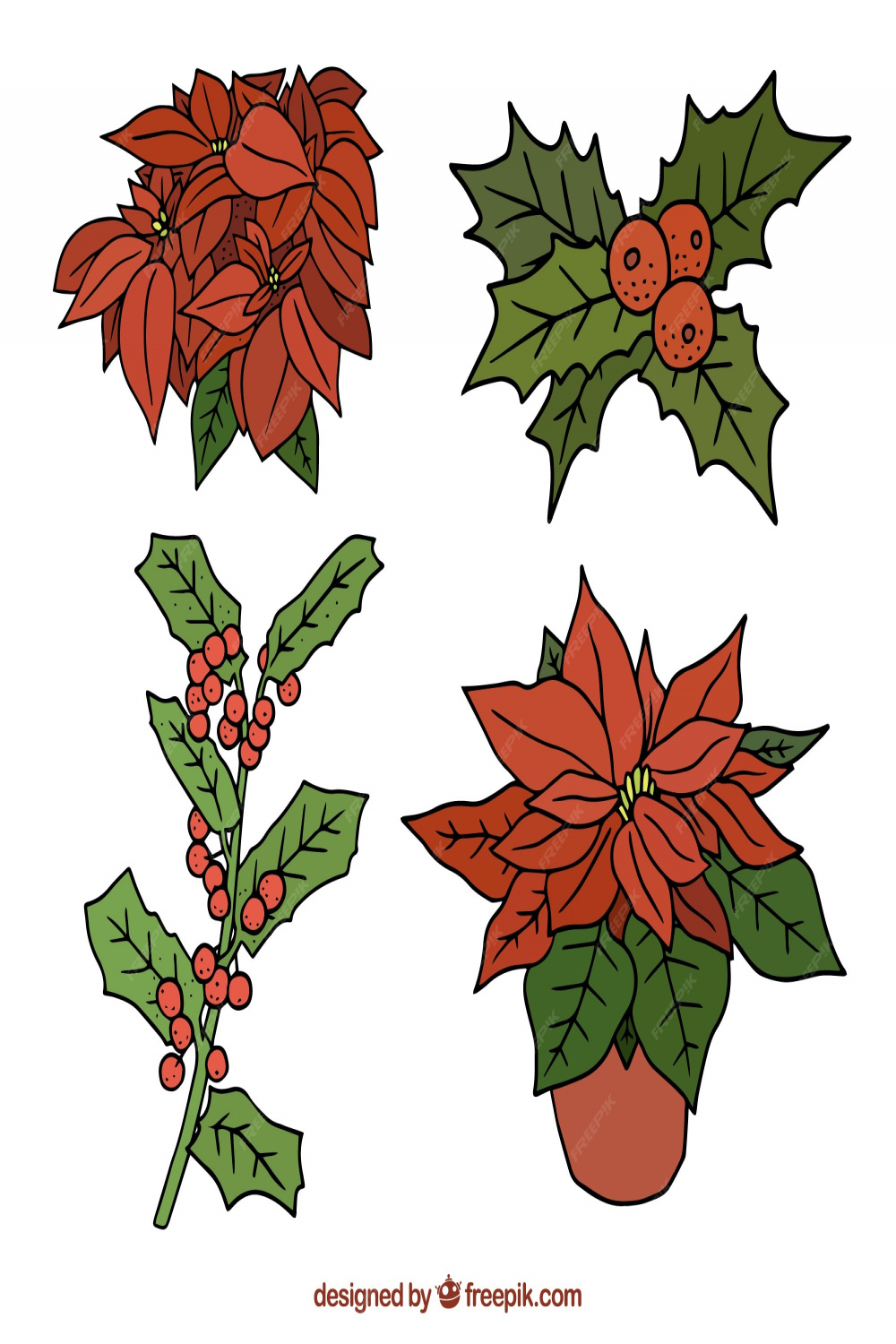 Free Vector  Hand drawn christmas flowers