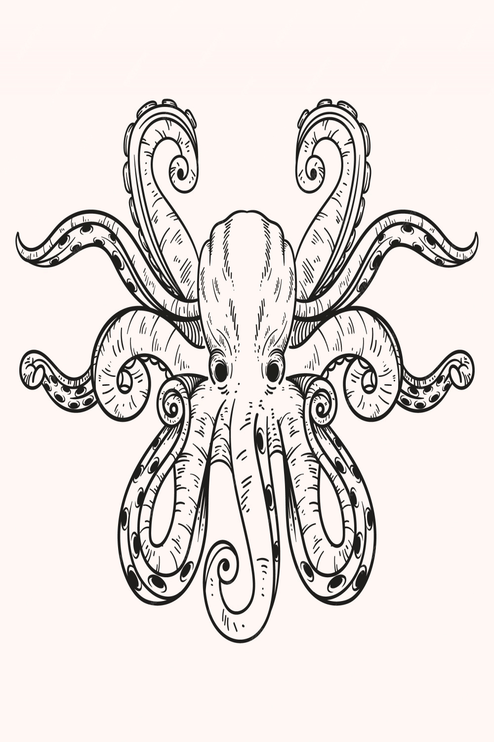 Free Vector  Hand drawn octopus drawing illustration